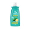 Shokubutsu Natural Protection Deodorizing Body Wash Fresh Burst 900g