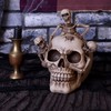 Nemesis Now Breaking Free Skeleton Emerging from Skull Ornament 17.7cm,