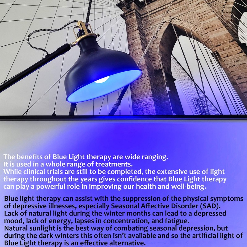 AmeriLuck Cobalt Blue A19 LED Bulb with Black Light Effect,