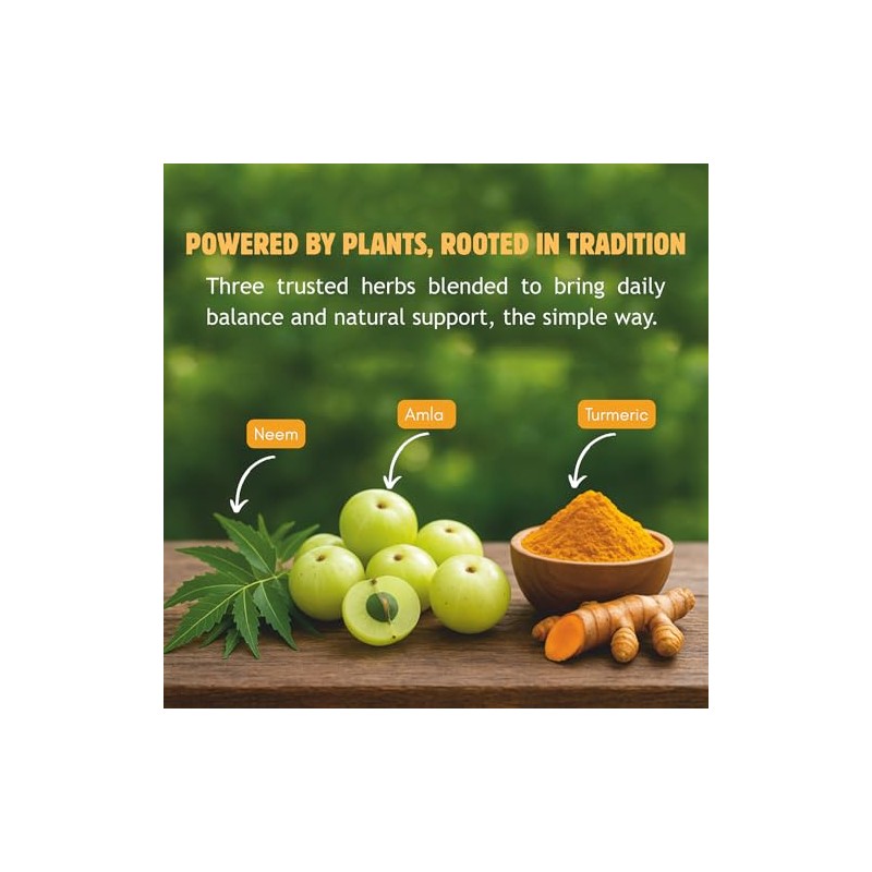 Neem Turmeric Capsules with Amla and Black Pepper 120 Veg