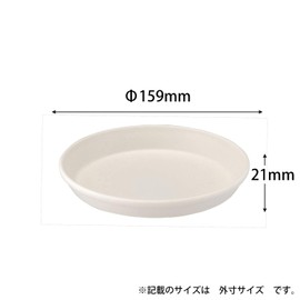 Apple Ware Plate, Saucer, Kotty Plate, Type 160, White, Depth 6.2 x Width 6.2 x Height 0.8 inches (15.9 x 15.9 x 2.1 cm), Effective Surface, 5.1 x 5.1 inches (13 x 13 cm), Thick, Ceramic Style