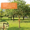 Suzile 48 Pcs Tree Stake Kit, Heavy Duty Tree Staking