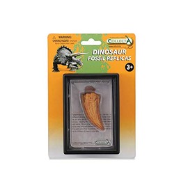 Collecta Side Tooth by Tyrannosaurus Rex Boxed Set