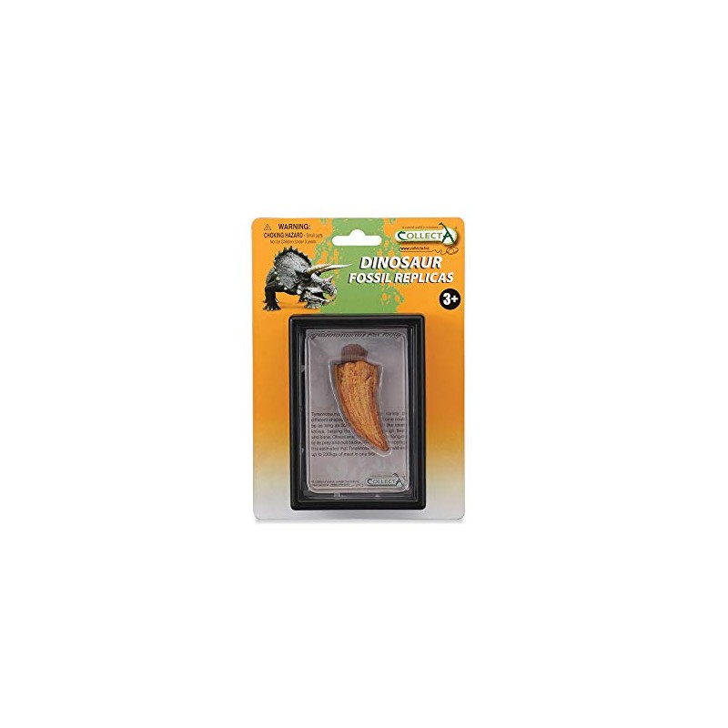 Collecta Side Tooth by Tyrannosaurus Rex Boxed Set