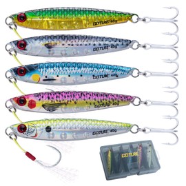 Goture Fishing Jigs, Transparent Epoxy Resin Coating Vertical Jig Saltwater Freshwater, Slow Sinking Resin Jig with Assist Hook and Treble Hook, 5PCS 40g Fishing Jigging Lures with Tackle Box