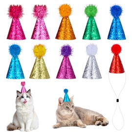 10 PCS Cat Birthday Party Hat, Mini Small Dog Hats Glitter Stuffed Animals Birthday Party Conoid Hat for Kittens Rabbits Dogs Stuffed Animals Parties Grooming Supplies (Multi-Color)