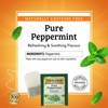 Twinings Pure Peppermint Herbal Tea Individually Wrapped Bags, 100 Count