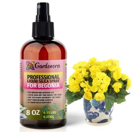𝐒𝐔𝐏𝐄𝐑𝐈𝐎𝐑 Liquid Silica Boost Fertilizer and Supplement Spray for Begonia Plants – Pre-Mixed, Ready-to-Use Liquid Silicon Plant Superfood Mist for Indoor & Outdoor Plants – 8oz