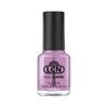 LCN Top Coat Flash Dry and Shine 8 ml