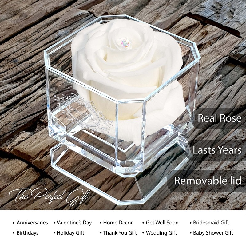 A 100% Real Rose That Lasts Years - Eternal Petals,
