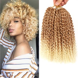 LLZBEAUTYHair 6Bundles/Lot Passion Twist Hair Marlybob Crochet Braids Hair Kinky Curly Crochet Hair Marly Twist Short Crochet Hair Extensions for Black Women (12Inchs(6bundles), #T27-613)