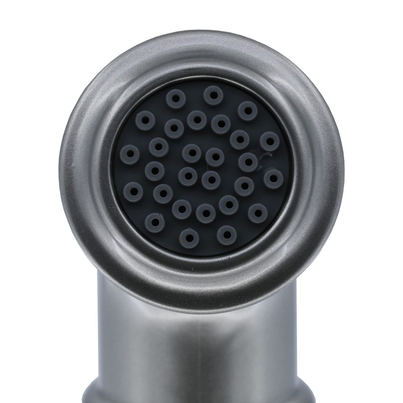 Danco, Brushed Nickel, Universal Decorative Side Spray and Hose, 1-Pack