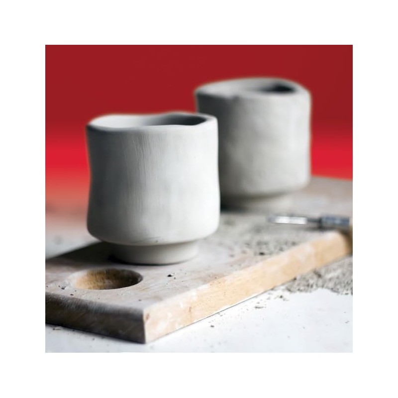 ACTIVA Blackjack Low-Fire Earthenware Clay, 20 Pounds, White