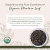 Starwest Botanicals Organic Plantain Leaf - Natural Loose Leaf Herbal