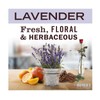 Mrs. Meyer's Clean Day Liquid Hand Soap, Cruelty Free, Lavender