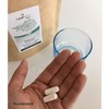 Superkost Superkost Sango Meeres-Korallen Coralle Kalzium Magnesium Pulver (500g)