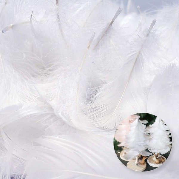 800 Pcs White Feathers Crafts Feathers Decorations Feathers, for DIY