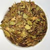 Herba Organica - Common Bearberry Leaf - Arctostaphylos Uva-Ursi L