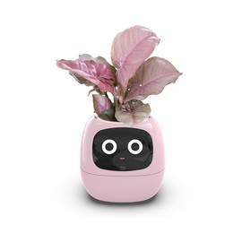 TPHRAVAL Intelligent Flower Pot, Electronic Bud, Maintenance Plant Assistant, Fun Interactive Flower Pot, Indoor Green Planting Monitoring, LCD Screen Display, Cell Phone APP Connection (Pink)
