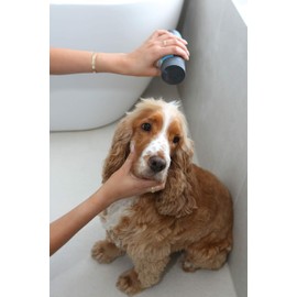 Rufus & Coco New Natural Dog and Puppy Shampoo and Conditioner | Sulfate & Paraben Free | pH Balanced, Hypoallergenic Fresh Fragrance | Safe for Cats and Dogs