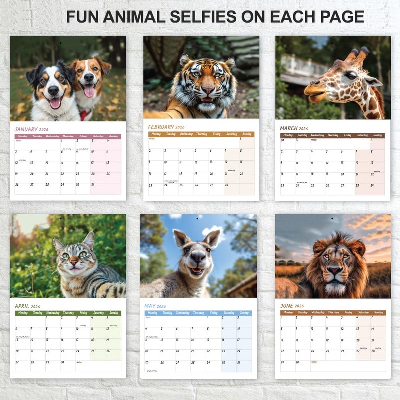 Animal Selfies Calendar 2026 A4 12 Month to View Wall