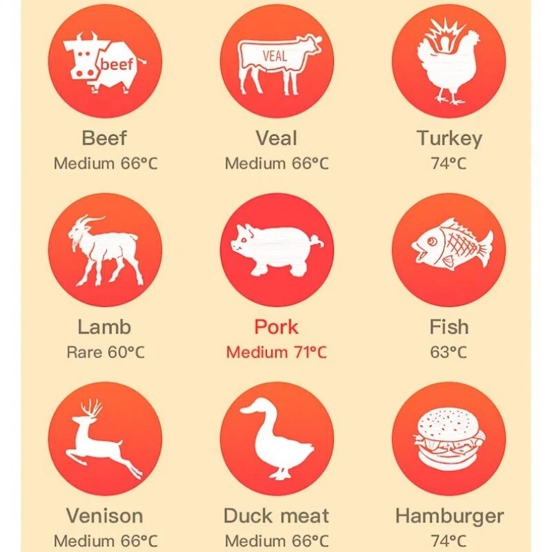 Wireless Bluetooth Roast Thermometer Smart Probe Oven BBQ Thermometer For