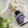 Nature's Peak Lions Mane Supplement Mushroom Capsules 10,000mg, Brain &
