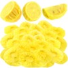 Gulfmew 100 Pack Lemon Wedge Stretch Wraps Covers Lemon Nets