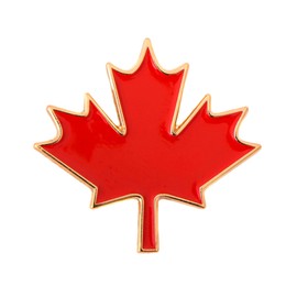 Desert Cactus Canada Maple Leaf Lapel Pin Canadian Country Red Enamel Made of Metal Souvenir