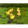 Mini Resin Ducks, Dollhouse Miniature Tiny Resin Ducks, Terrarium Fairy