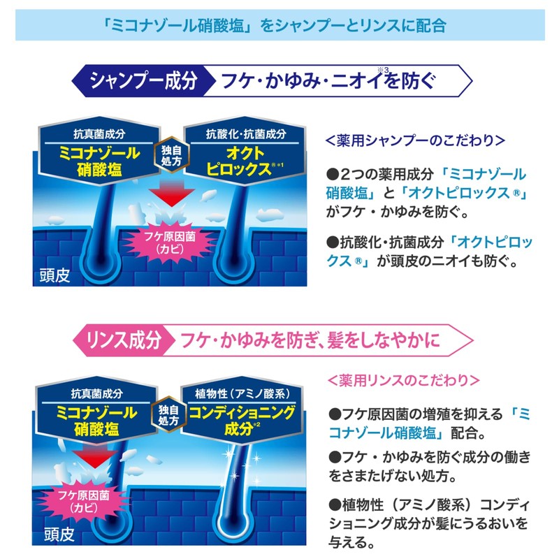 Collage Full Full Next Shampoo (Clean and Smooth Type), Refill