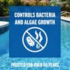 Leslie's 3 Inch Stabilized Chlorine Tablets for Sanitizing Swimming Pools
