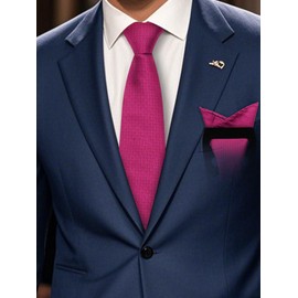 Mantieqingway Solid Color Tie Sets for Men Necktie with Pocket Square and Holder Formal Wedding New Year Graduation