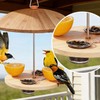 4-Pack Glass Oriole Feeder Cups, Replacement Jelly Bowls for Bird