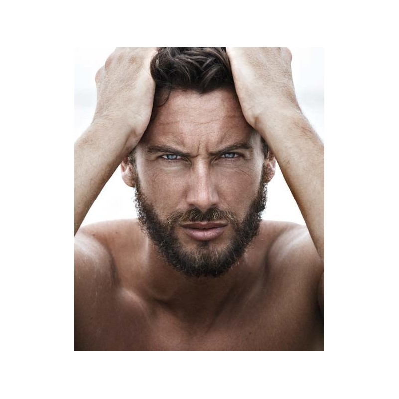 HELEN SEWARD DOMINO MEN BRILLANTINE POMADE HOLIDAY GIFT PRESENTS FOR