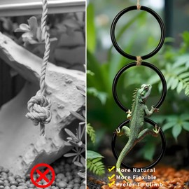 INQUADR 2PCS Snake Climbing Rings for Ball Python，1PCS Breathable Mesh Geckos Hammock Reptile Hammock，Ideal for Terrariums, Bearded Dragons, Geckos, Lizards, Parrots
