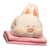 Stuffed Animals Travel Blanket Pillow Set Soft Plush Hugging Pillow