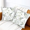 Spring Pillow Covers 18 x 18 Inch Set of 2,Sage