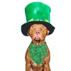 PTDECOR St. Patrick's Day Dog Bandana, Reversible Dog Scarf, Multi