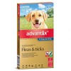 Advantix Buy Advantix For Dogs Over 25kg 3 Pack Online