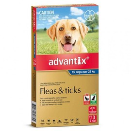 Advantix Buy Advantix For Dogs Over 25kg 3 Pack Online