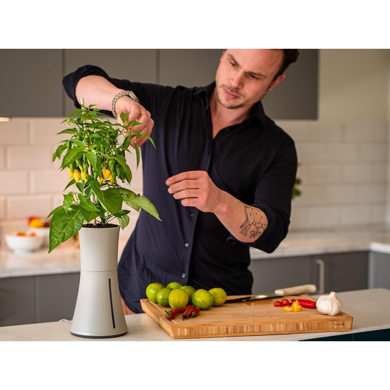 Botanium Hydroponic and Automatic Indoor Gardening Pot, Grey