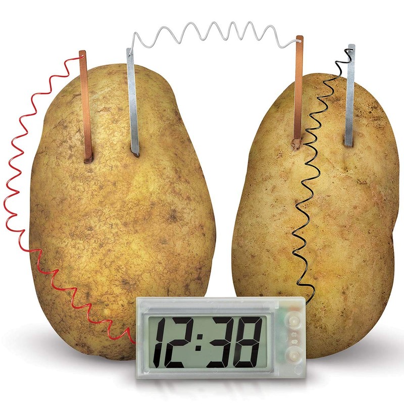 4M Green Science Potato Clock, Science and Activity Kit, Suitable