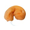 African Net Sponge Sapo Peach