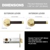 FLIRABBIT Leather Wrapped Brass Privacy Door Handle – Brass Interior