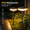 Solar Swaying Pathway Lights for Outdoor Decor – 2-Pack IP65