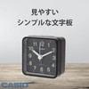 Casio Analog Travel Clock