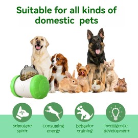 MANGOKKA Treat Dispensing Dog Toys, Rocking Treat Dispensing Ball, Dog Toys to Keep Them Busy, Tumbler Dogs & Cat Slow Feeder Puppy Interactive Chase Training for Large/Medium/Small Pet Gift (Green)