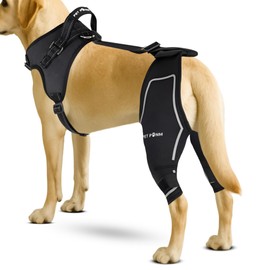 Petpanm - Comfortable Dog Knee Brace for Both Hind Legs with Harness - for ACL Tear, Luxating Patellae, Osteoarthritis & Instability - for Recovery & Injury Prevention in Active/Aging Dogs - (Medium)