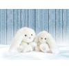 Histoire d'Ours HO2817 Lapin White 25 cm